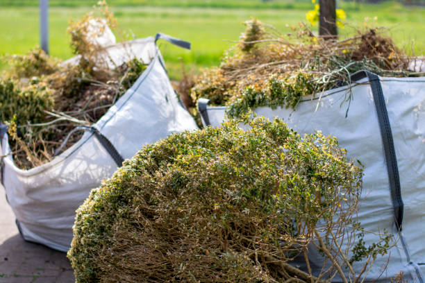 Best Office Junk Removal  in Listoga, CA